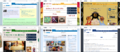 Community Success-Wikia example front pages.png